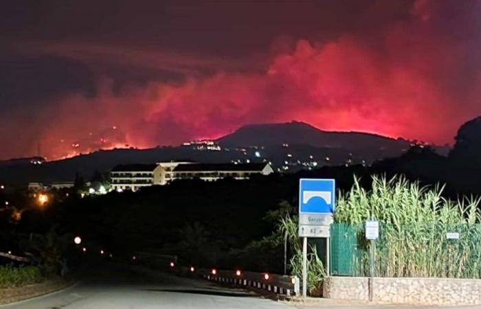 Incendies, en 2023 à Messine 23 kilomètres carrés de zones boisées sont partis en fumée