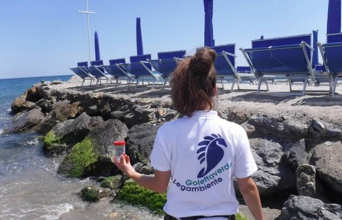 “En Ligurie, la mer a été polluée dans 50% des échantillons”, alarme de Goletta Verde