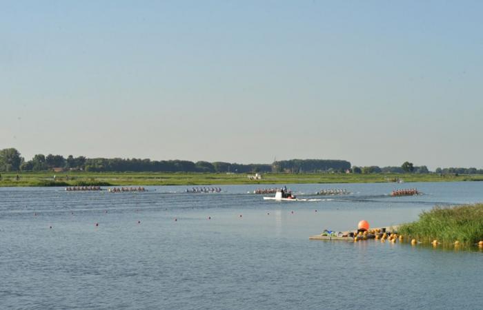 Championnats du monde universitaires, les bateaux s’élancent de Turin vers Rotterdam