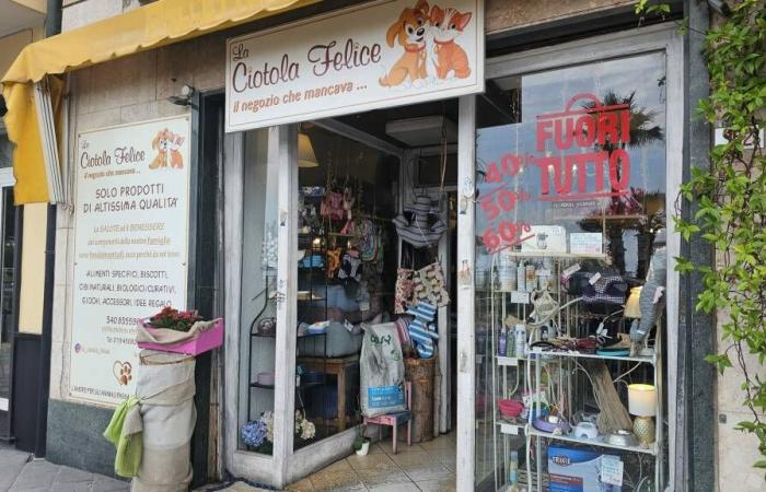 Loano, vol dans la boutique “La Ciotola Felice”: le portefeuille avec les bénéfices volés, butin de 2 500 euros