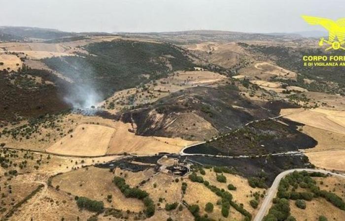 Aujourd’hui 15 incendies en Sardaigne. Véhicules aériens à Orroli | Nouvelles