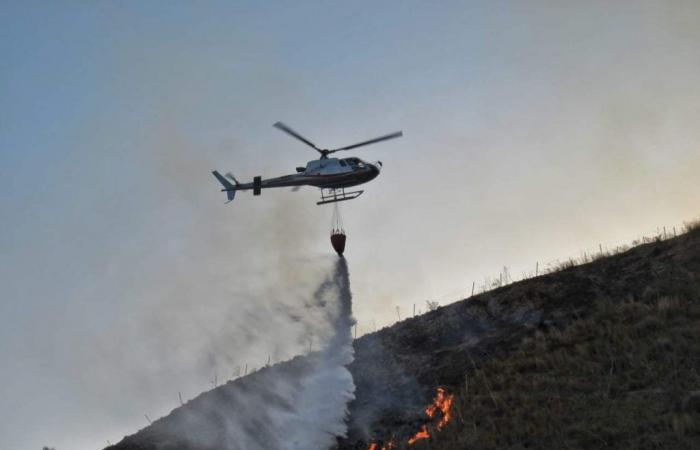 Les incendies de forêt, en augmentation en 2023 par rapport à 2022