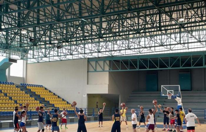 Basket, succès à Tarente pour le camp d’été avec Francesco Raho