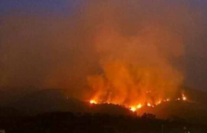 Palerme, épicentre des incendies de forêt en Italie en 2023