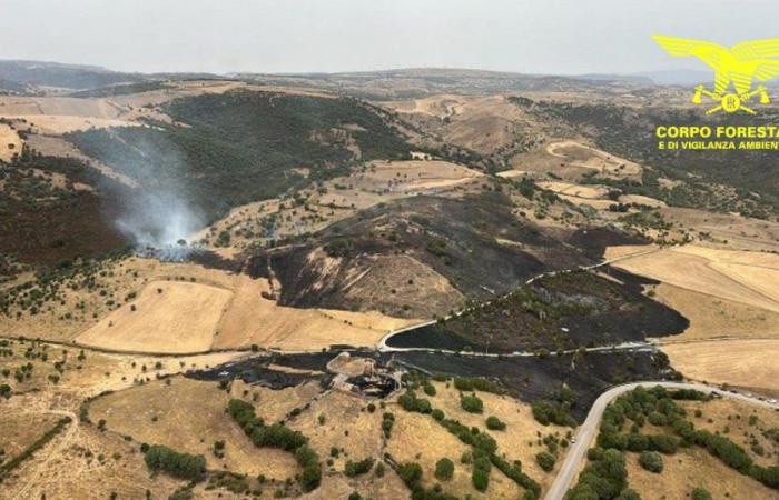 Aujourd’hui 15 incendies en Sardaigne: avions à Orroli