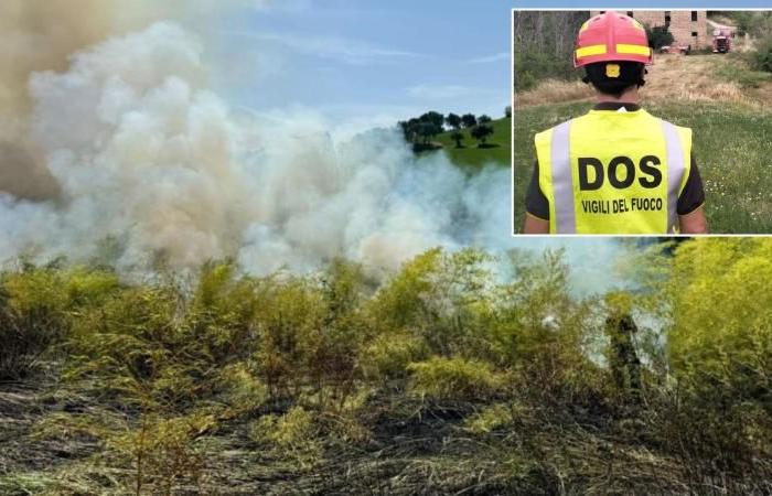 Végétation en feu dans les Marches, 3 interventions en une journée : hélicoptère de pompiers nécessaire – Picchio News