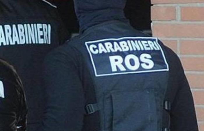 Abruzzes, Trafic international de drogue, le ROS arrête 14 personnes, enquêtes de la Direction Départementale Antimafia de L’Aquila