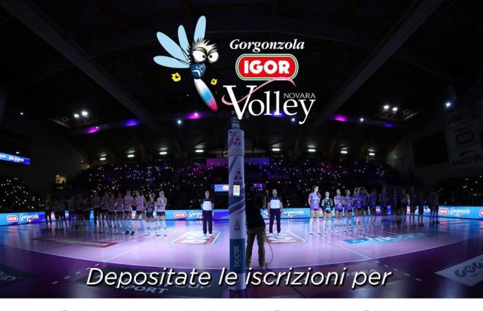 Igor, l’inscription au championnat de la série A1 a été enregistrée. – Ligue féminine de volleyball de Serie A