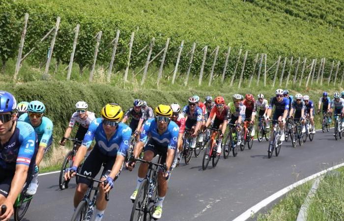 Le Tour de France à Langa, paradis jaune pour les cyclistes du monde entier