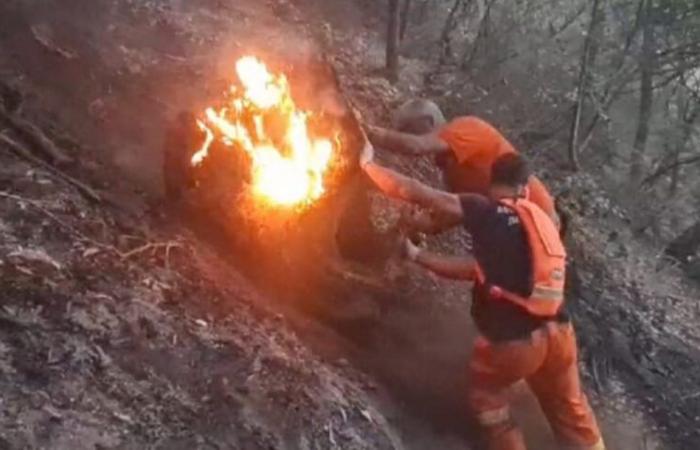 Données ISPRA sur les incendies de forêt : la province de Catanzaro est la moins touchée par les incendies