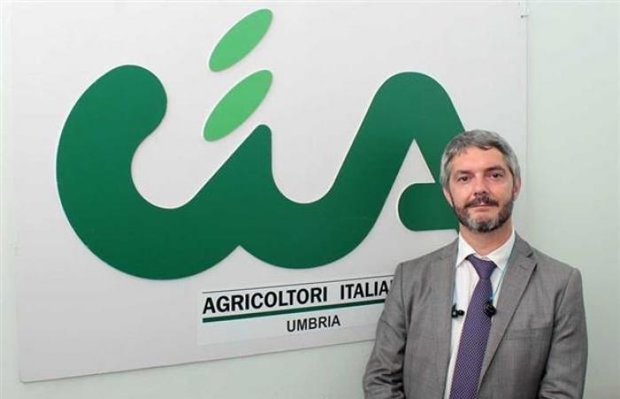 céréales, feu vert pour «Granaio Italia». Bartolini (Cia Umbria), «notre victoire pour sauvegarder les producteurs de céréales, y compris l’Ombrie» – Centritalia News