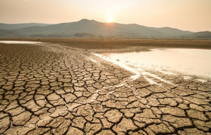 Un plan de 1,6 milliard pour l’urgence contre la sécheresse en Sicile, Schifani “Travaux immédiats pour 92 millions”, voici quoi – BlogSicilia