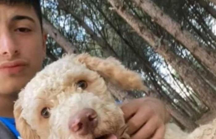 Retrouvé blessé dans la rue à Buccino, il y a un mystère sur la mort d’un jeune de 16 ans : une enquête est en cours
