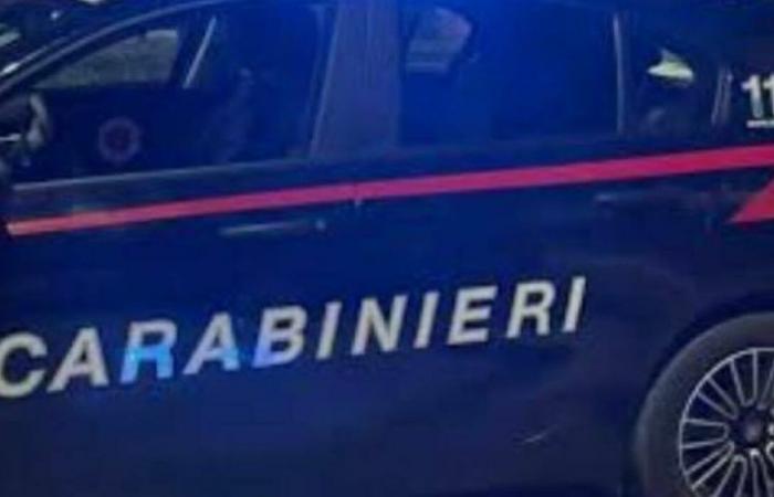 le butin apparaît sur le web. Les carabiniers arrivent à la réunion d’appât à Pesaro. Voici ce qui s’est passé