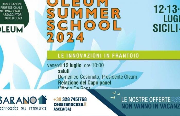 Oleum Summer School 2024 : innovation et tradition dans l’huile d’olive en Sicilì