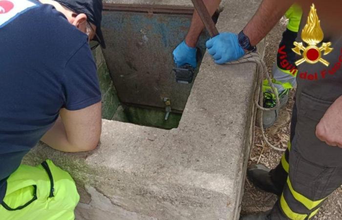 Enfant mort dans le puits de Palazzolo Acreide près de Syracuse, résultats de l’autopsie : cause du décès