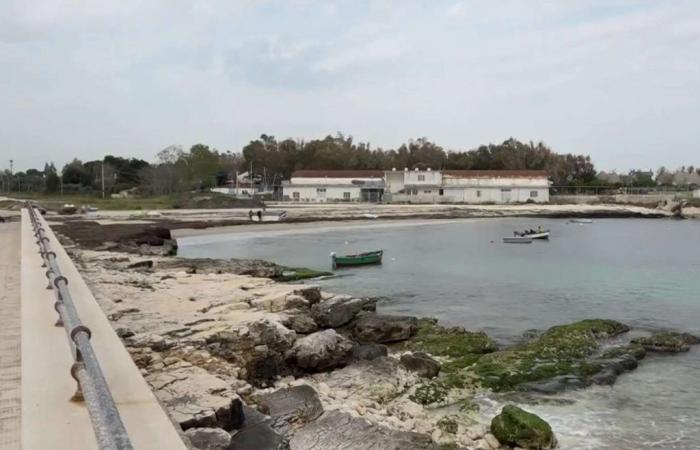 Algues toxiques dans les Pouilles. Autocollant rouge à Bari