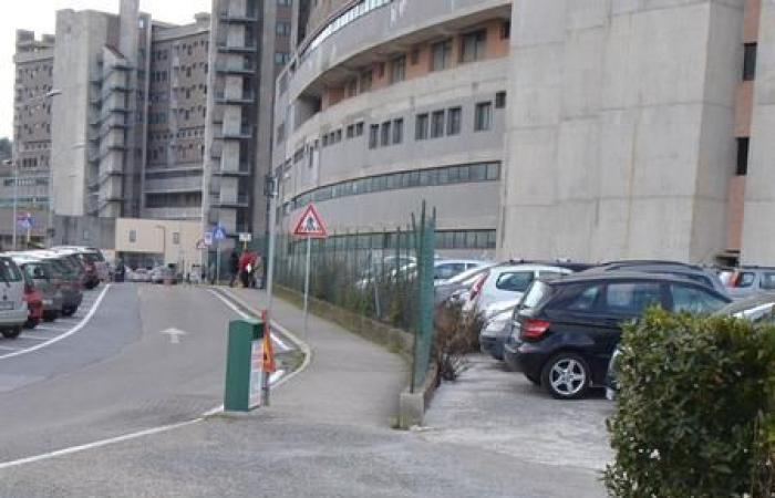 Viterbo – Ils forcent les voitures garées à Belcolle et volent à l’intérieur, cinq arrêtés et immédiatement relâchés