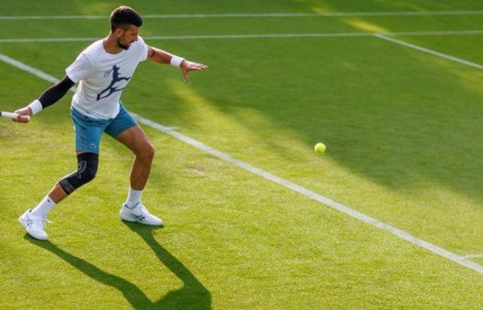 Wimbledon : Les résultats complets avec les détails de la deuxième journée. Novak Djokovic et peut-être Andy Murray également sur le terrain aujourd’hui (EN DIRECT)