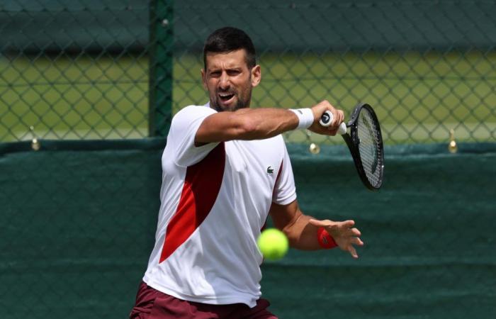 “On parle trop de la blessure de Novak Djokovic”