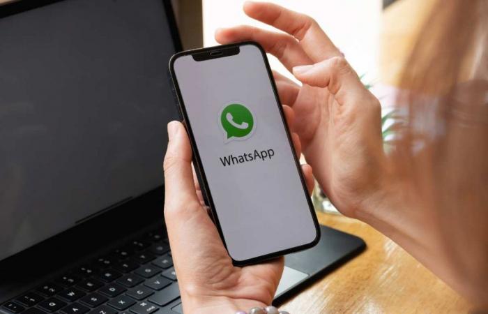 Whatsapp sonne l’alarme, si vous ne le faites pas, vous perdrez toutes les conversations : attention maximale