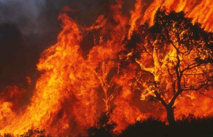 Grèce, incendies à Kos et Chios. Mais l’alarme revient