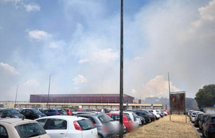 Incendie à Tor Vergata, buissons en feu à quelques pas de l’hôpital et de la Faculté de Médecine