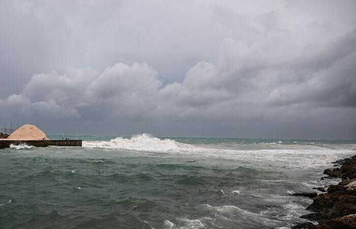 Beryl passe en ouragan de catégorie 5, « potentiellement catastrophique » – Amérique latine