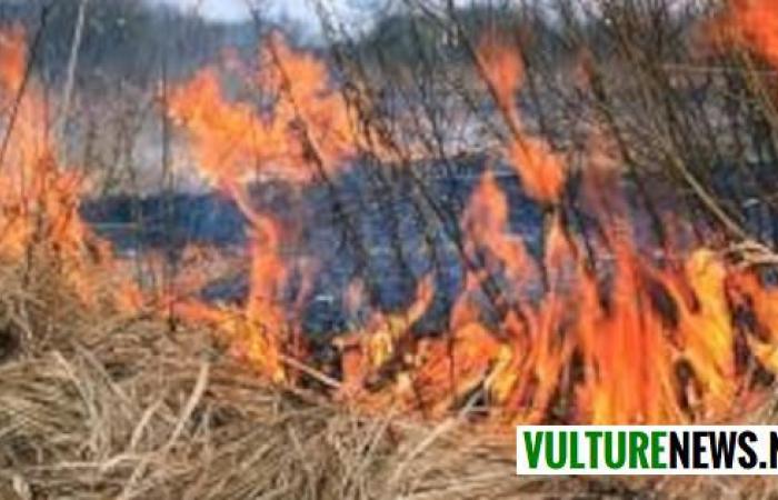 Genzano di Lucania, déclaration de grave danger d’incendies de forêt ! Voici les règles à suivre pour éviter de recevoir des amendes