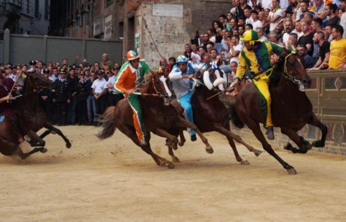 Palio di Siena 2024, est le jour de la “Carrière” de la Madonna di Provenzano : la Giraffa triomphe dans la Provaccia, le Nicchio remporte l’épreuve générale