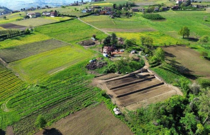 Un jardin agro-écologique et régénérateur ouvert à la communauté est né à Costigliole d’Asti – Lavocedialba.it