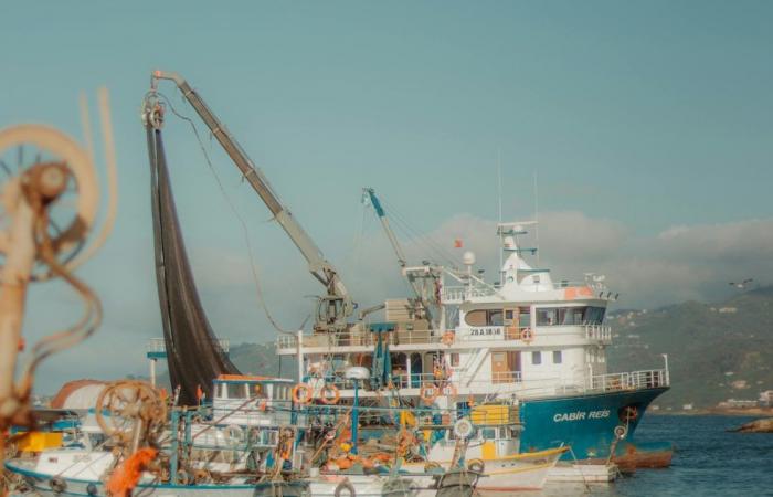 L’accusation de SOS Humanité pour la mort d’un migrant arrivé au port de Catane