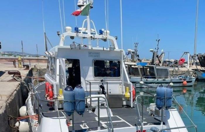 Opération Mistral, contrôles généralisés des garde-côtes de Pescara sur la chaîne d’approvisionnement du poisson