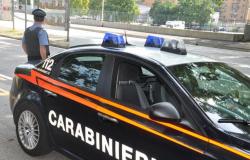 Bolzano et les carabiniers découvrent deux clôtures | Gazzetta des Vallées