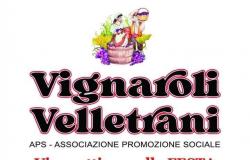 Les Velletrani Vignaroli vous invitent au Festival de l’Artichaut de Matticella