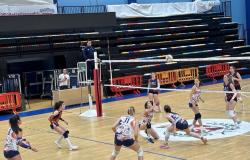 Quinze Molfetta – Volley-ball féminin. Le Dinamo CAB Molfetta à l’examen ASEM Volley Bari