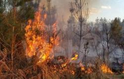 Protection civile. 22 nouveaux opérateurs volontaires formés pour éteindre les incendies de forêt