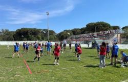 Volleyball Fipav Rovigo, mois de fête de mai Profitez du plein air