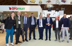 Macfrut à Rimini, les coopératives satisfaites: «Le choix “Made in Romagna” est convaincant»