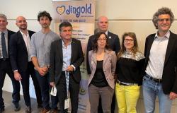 Jingold : analyse approfondie de la chaîne d’approvisionnement du kiwi jaune en Émilie-Romagne