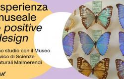 Expérience muséale et design positif : une étude avec le Musée Civique des Sciences Naturelles Malmerendi de Faenza