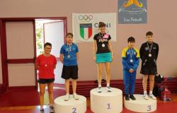 Tennis de table / Tournoi ouvert de Senigallia Marches : bronze pour Giovanni Cesaretti
