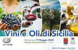 « Vins et huiles de Sicile », à Trapani AIS Sicilia promeut la culture et l’histoire des deux symboles méditerranéens – LaTr3.it