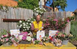 Coldiretti Puglia : « Les fleurs gagnent en matière de choix de cadeaux pour la fête des mères »