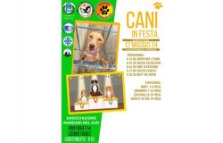 Marsala, demain 12 mai “Les chiens en fête”. Dans la région de Sutana, le festival des chiens errants à la recherche d’un foyer – Il Giornale di Pantelleria
