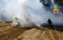 Un bidon explose dans les broussailles en feu : un pompier finit à l’hôpital