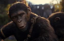 Gains américains : le Royaume de la planète des singes remporte le week-end avec 56,5 millions de dollars | Cinéma