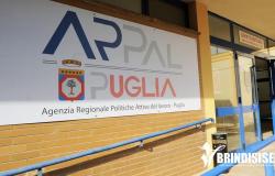 ARPAL : dans les Centres d’Emploi de Brindisi et de sa province, il y a des offres d’emploi pour 193 personnalités professionnelles