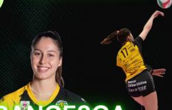 Volley Offanengo renforce son parc d’attaquants avec Francesca Pinetti – Ligue féminine de volleyball de Serie A