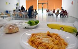 Cantines scolaires, la Basilicate est la région la plus chère d’Italie : 109 euros par mois